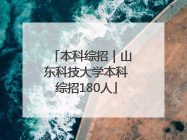 本科综招｜山东科技大学本科综招180人