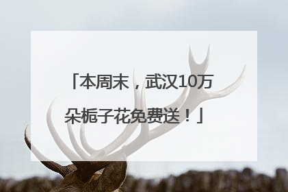 本周末，武汉10万朵栀子花免费送！