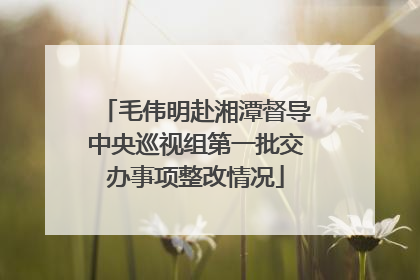 毛伟明赴湘潭督导中央巡视组第一批交办事项整改情况