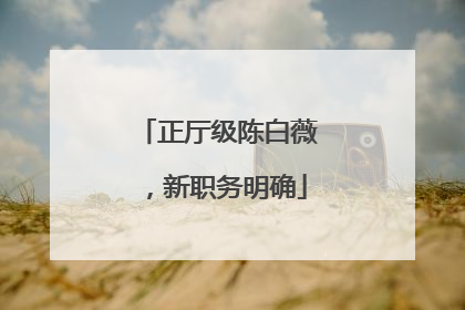 正厅级陈白薇，新职务明确