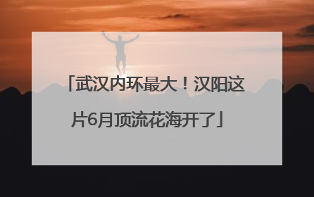 武汉内环最大！汉阳这片6月顶流花海开了