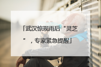 武汉惊现雨后“灵芝”，专家紧急提醒
