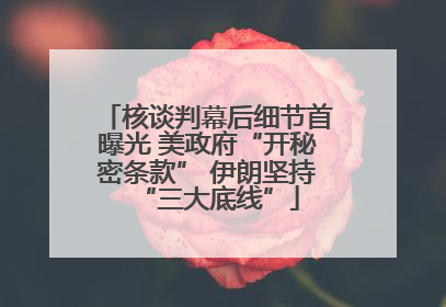 核谈判幕后细节首曝光 美政府“开秘密条款” 伊朗坚持“三大底线”