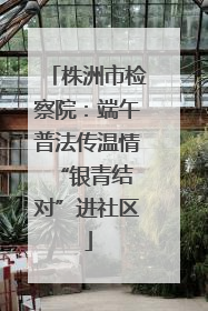株洲市检察院：端午普法传温情 “银青结对”进社区