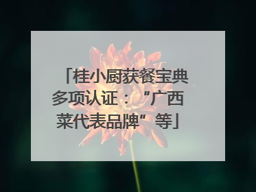 桂小厨获餐宝典多项认证：“广西菜代表品牌”等