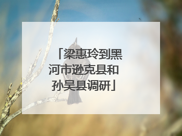 梁惠玲到黑河市逊克县和孙吴县调研