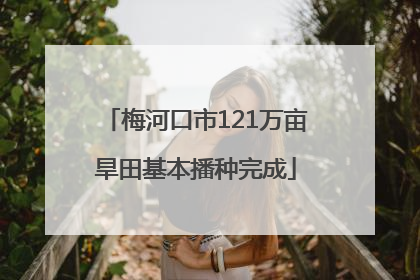 梅河口市121万亩旱田基本播种完成