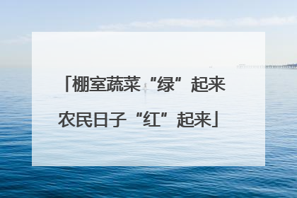 棚室蔬菜“绿”起来 农民日子“红”起来