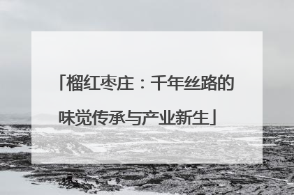 榴红枣庄：千年丝路的味觉传承与产业新生