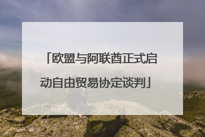 欧盟与阿联酋正式启动自由贸易协定谈判