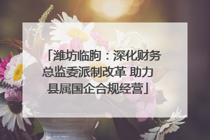 潍坊临朐：深化财务总监委派制改革 助力县属国企合规经营