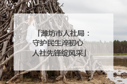 潍坊市人社局：守护民生淬初心 人社先锋绽风采