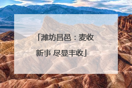 潍坊昌邑：麦收新事 尽显丰收