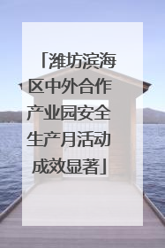 潍坊滨海区中外合作产业园安全生产月活动成效显著