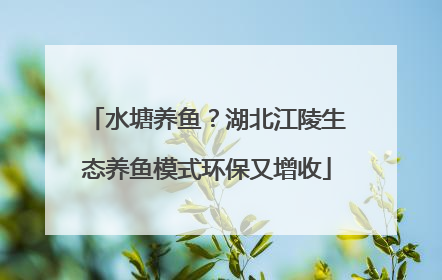 水塘养鱼？湖北江陵生态养鱼模式环保又增收