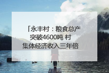 永丰村：粮食总产突破4600吨 村集体经济收入三年倍增｜牵挂的村