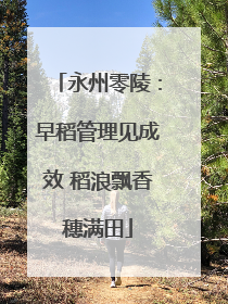 永州零陵：早稻管理见成效 稻浪飘香穗满田
