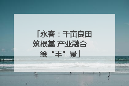 永春：千亩良田筑根基 产业融合绘“丰”景