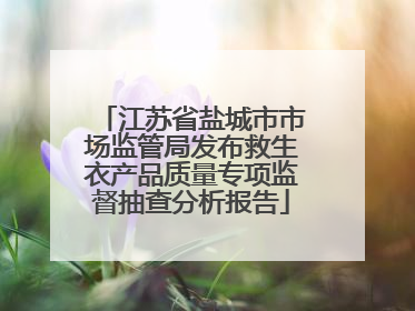 江苏省盐城市市场监管局发布救生衣产品质量专项监督抽查分析报告