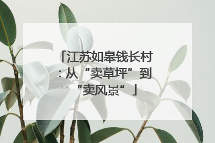 江苏如皋钱长村：从“卖草坪”到“卖风景”