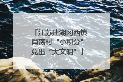 江苏建湖冈西镇肖荡村“小积分”兑出“大文明”