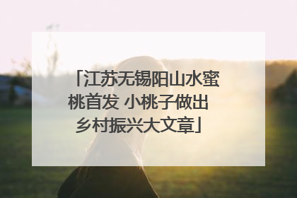 江苏无锡阳山水蜜桃首发 小桃子做出乡村振兴大文章