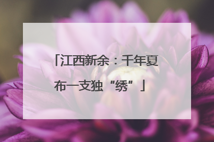江西新余：千年夏布一支独“绣”