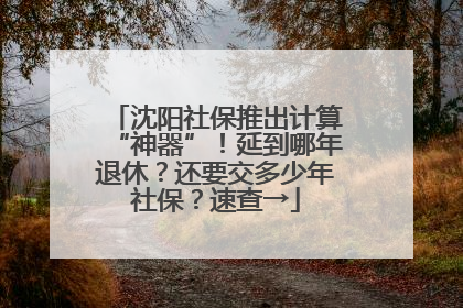沈阳社保推出计算“神器”！延到哪年退休？还要交多少年社保？速查→
