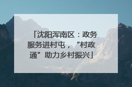 沈阳浑南区：政务服务进村屯，“村政通”助力乡村振兴