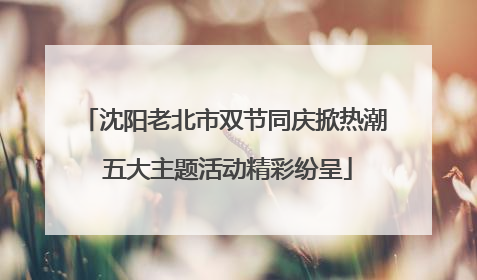 沈阳老北市双节同庆掀热潮 五大主题活动精彩纷呈