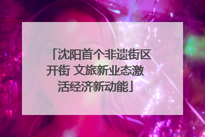 沈阳首个非遗街区开街 文旅新业态激活经济新动能