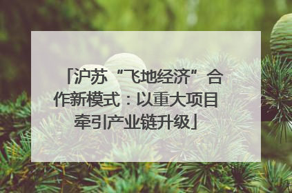 沪苏“飞地经济”合作新模式：以重大项目牵引产业链升级