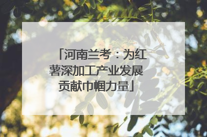 河南兰考：为红薯深加工产业发展贡献巾帼力量