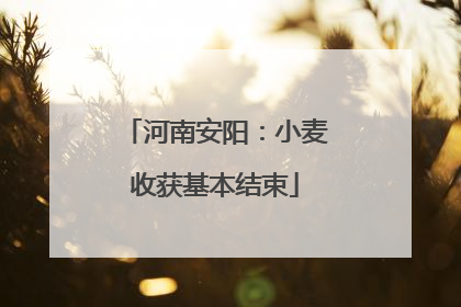 河南安阳：小麦收获基本结束
