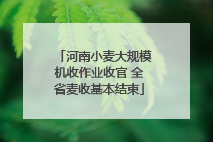 河南小麦大规模机收作业收官 全省麦收基本结束