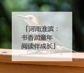 河南淮滨：书香润童年 阅读伴成长