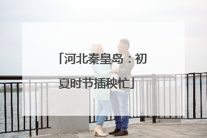 河北秦皇岛：初夏时节插秧忙