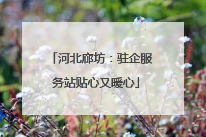 河北廊坊：驻企服务站贴心又暖心