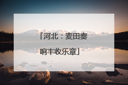 河北：麦田奏响丰收乐章