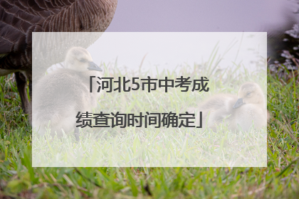 河北5市中考成绩查询时间确定