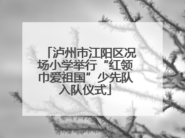 泸州市江阳区况场小学举行“红领巾爱祖国”少先队入队仪式