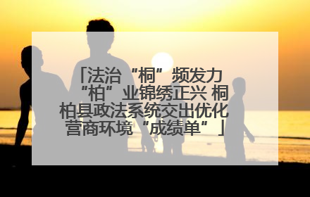 法治“桐”频发力 “柏”业锦绣正兴 桐柏县政法系统交出优化营商环境“成绩单”