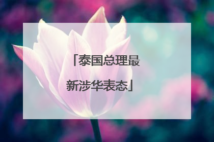 泰国总理最新涉华表态