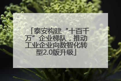 泰安构建“十百千万”企业梯队，推动工业企业向数智化转型2.0版升级