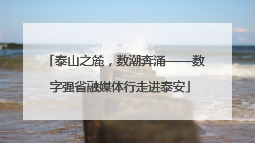 泰山之麓，数潮奔涌——数字强省融媒体行走进泰安