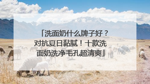 洗面奶什么牌子好？对抗夏日黏腻！十款洗面奶洗净毛孔超清爽