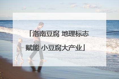 洛南豆腐 地理标志赋能 小豆腐大产业