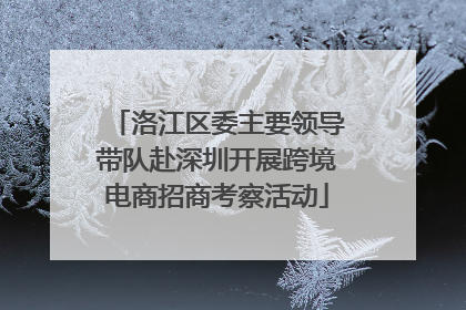 洛江区委主要领导带队赴深圳开展跨境电商招商考察活动