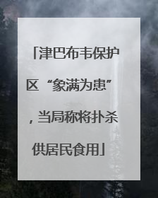 津巴布韦保护区“象满为患”，当局称将扑杀供居民食用