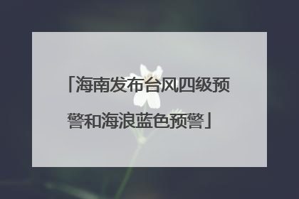 海南发布台风四级预警和海浪蓝色预警